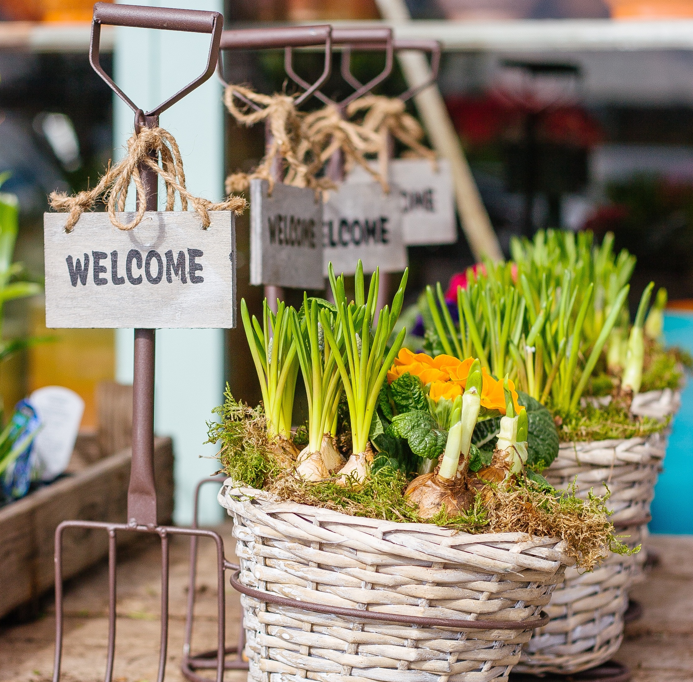 cathal-mac-an-bheatha-223618-unsplash