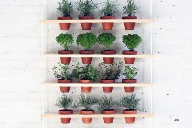 gallery-1430166859-potted-hanging-garden house beautiful