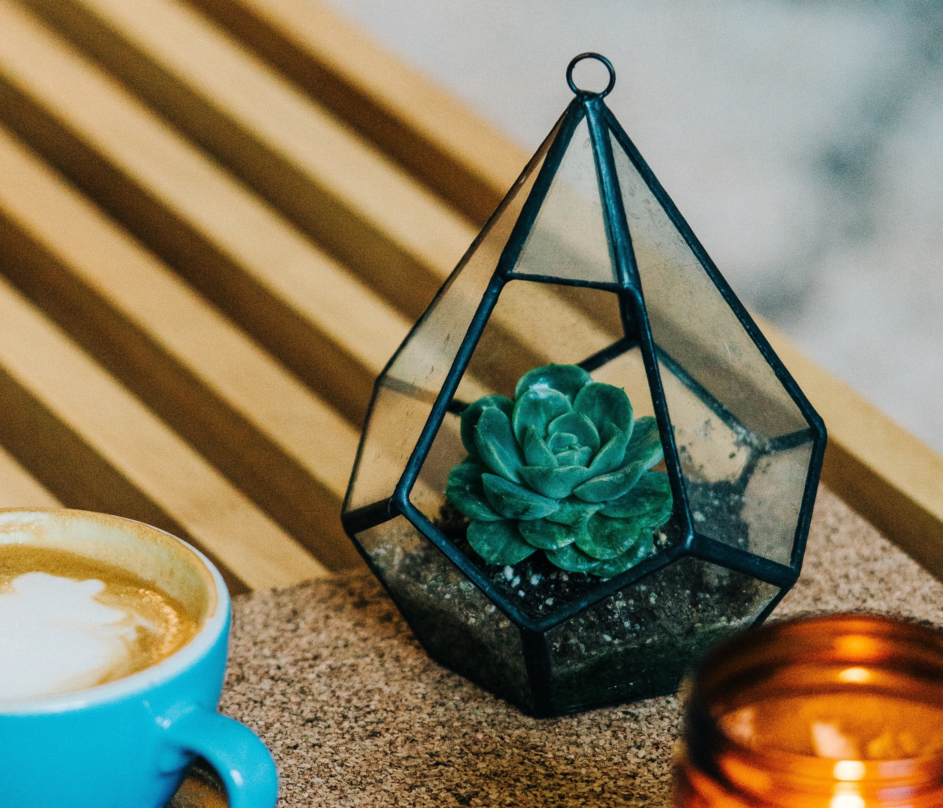 mike-marquez-455153-unsplash