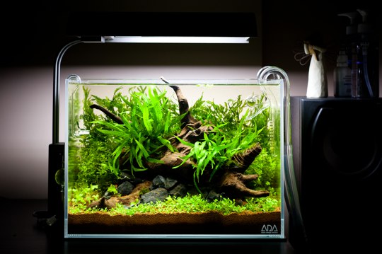 thegreenmachineonline