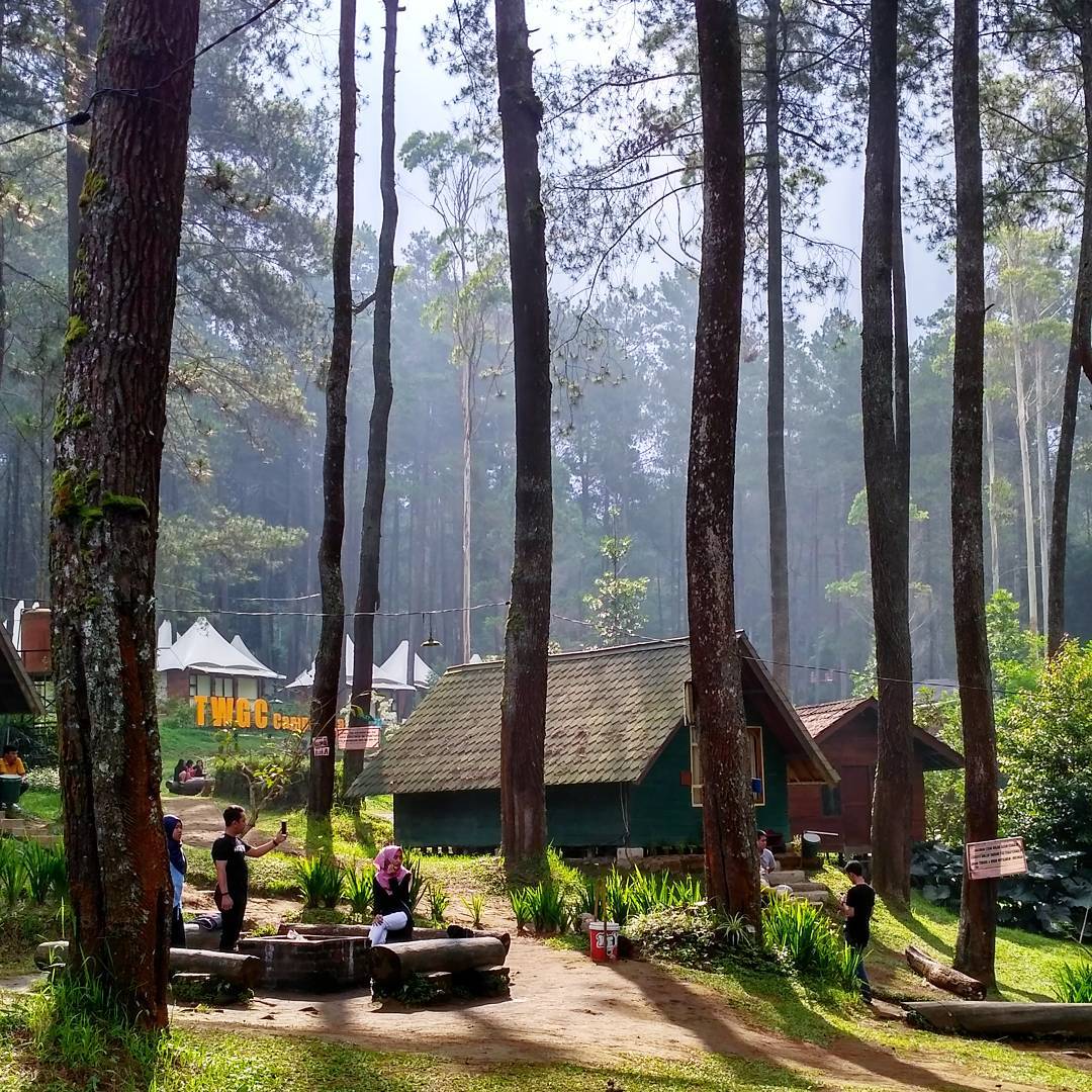 terminal-wisata-grafika-cikole